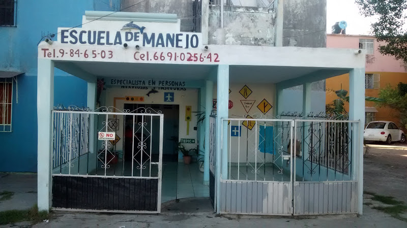 ESCUELA DE MANEJO EL DELFIN